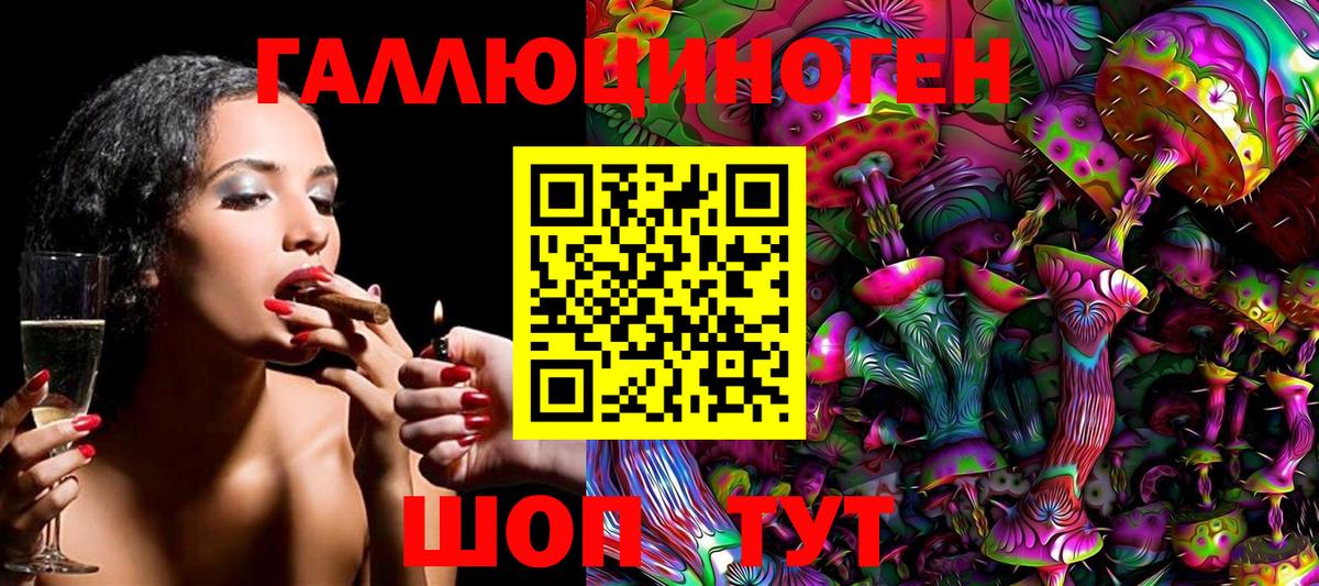 Галлюциногенные грибы Psilocybe  Вход с VPN  Учалы 